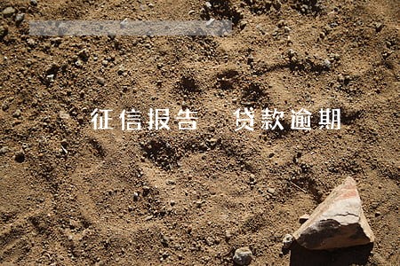 征信报告 贷款逾期 征信报告 贷款逾期